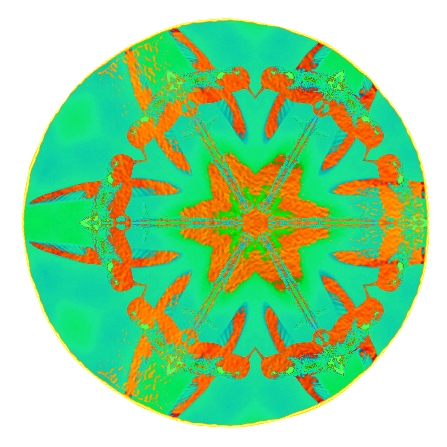 Womens Relaxed T Shirt - Hummingbird Circle