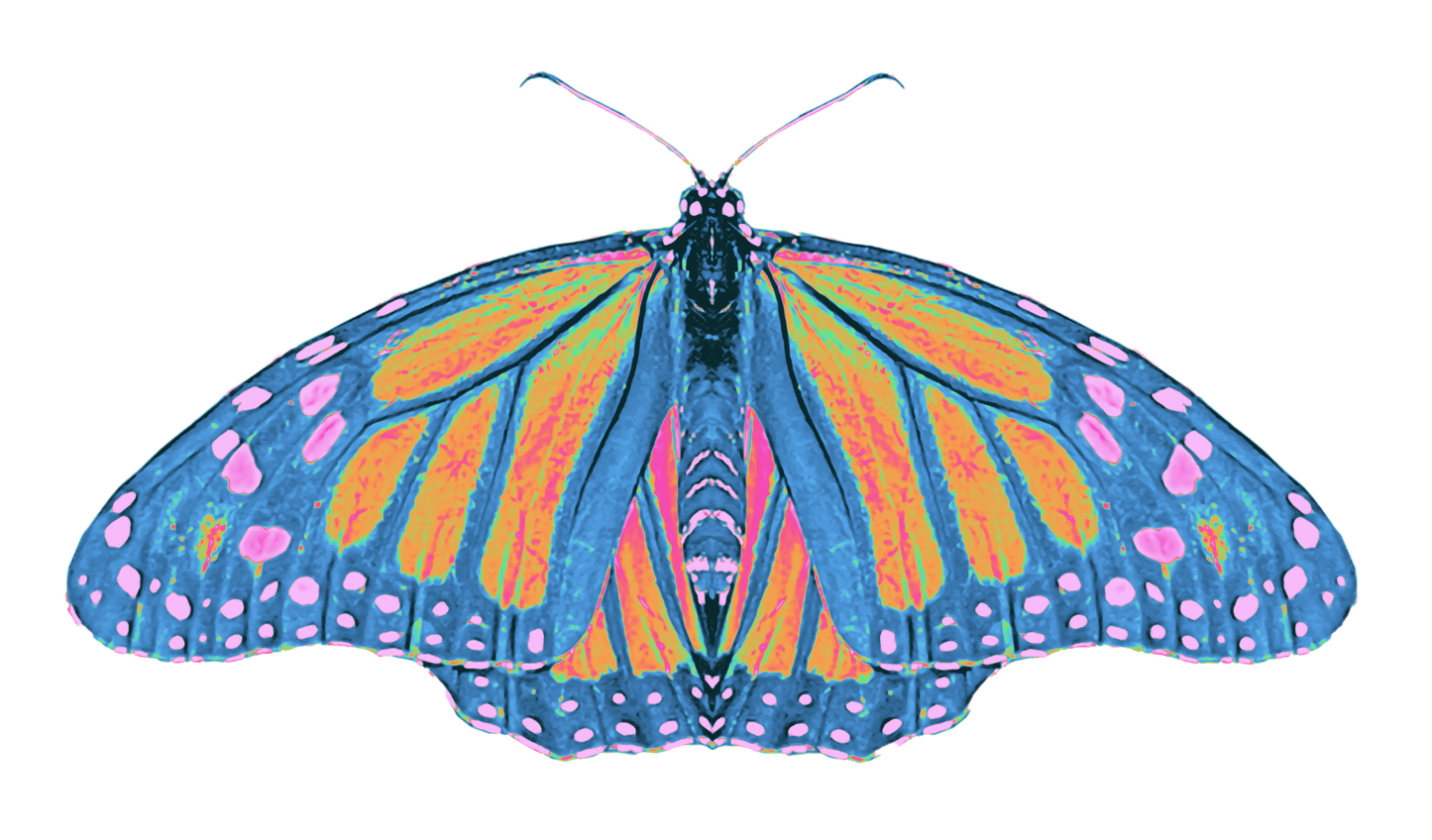 Organic Long Sleeve T-Shirt - Thermal Monarch Butterfly